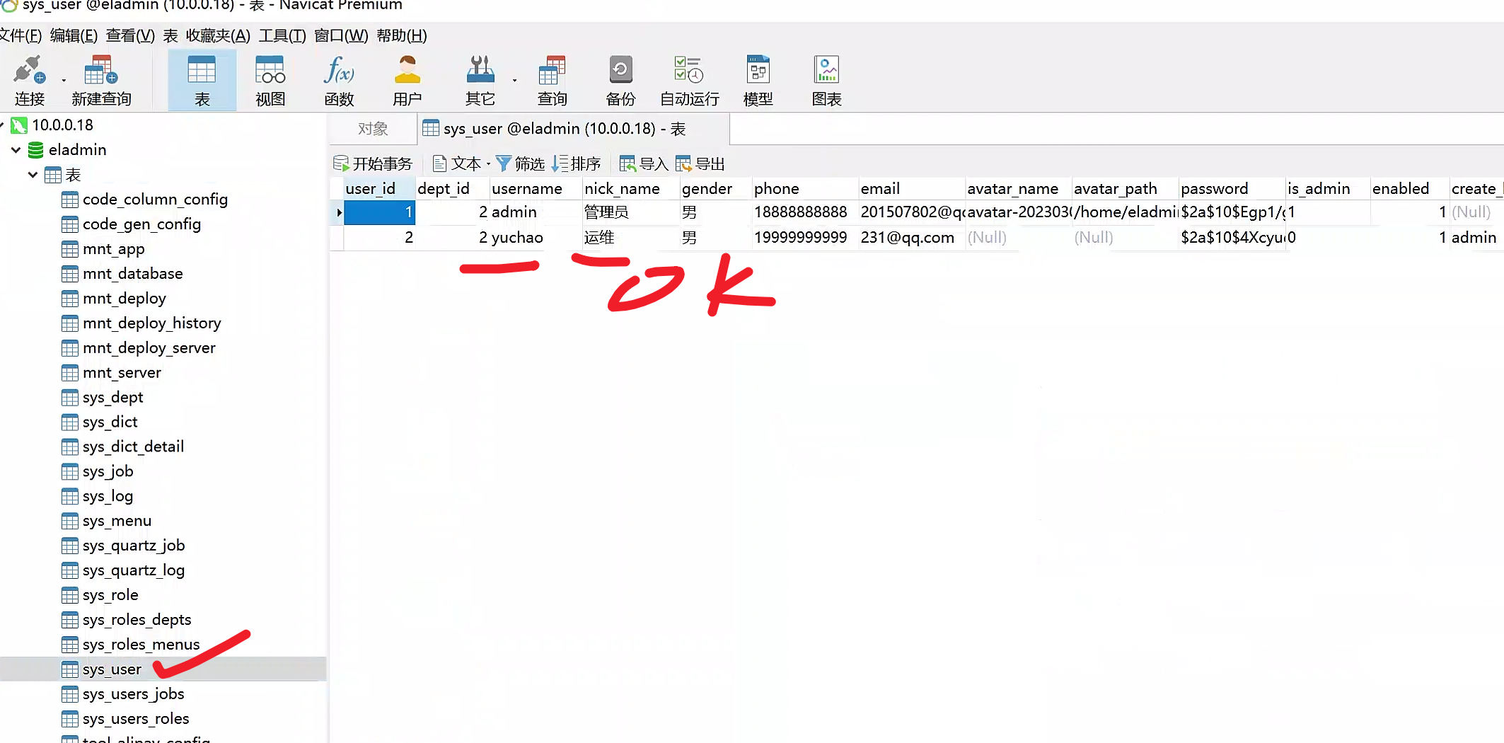 image-20230305115636065