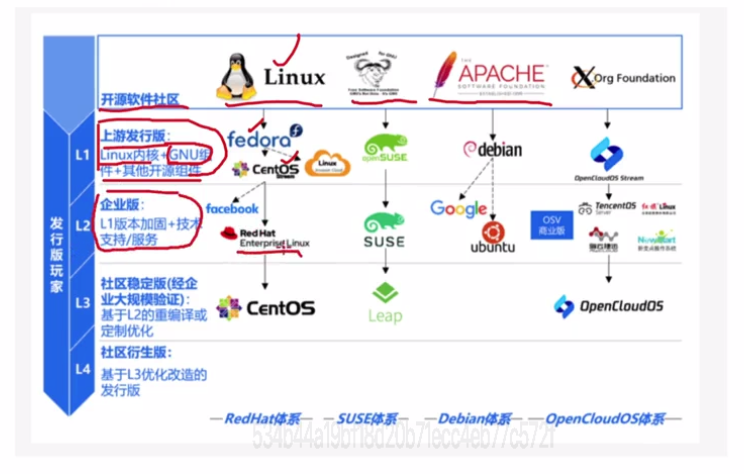 image-20250306114320044