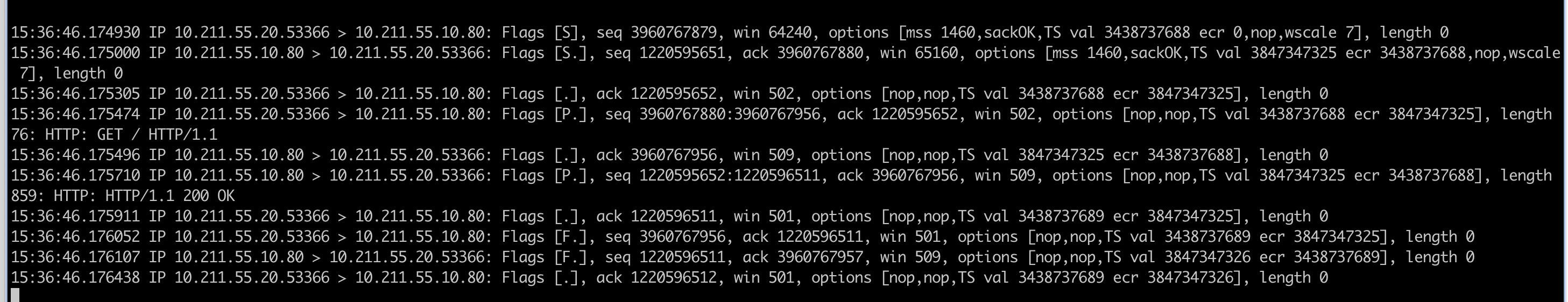 image-20250302154834691