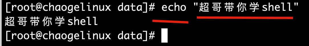 image-20191123175245031