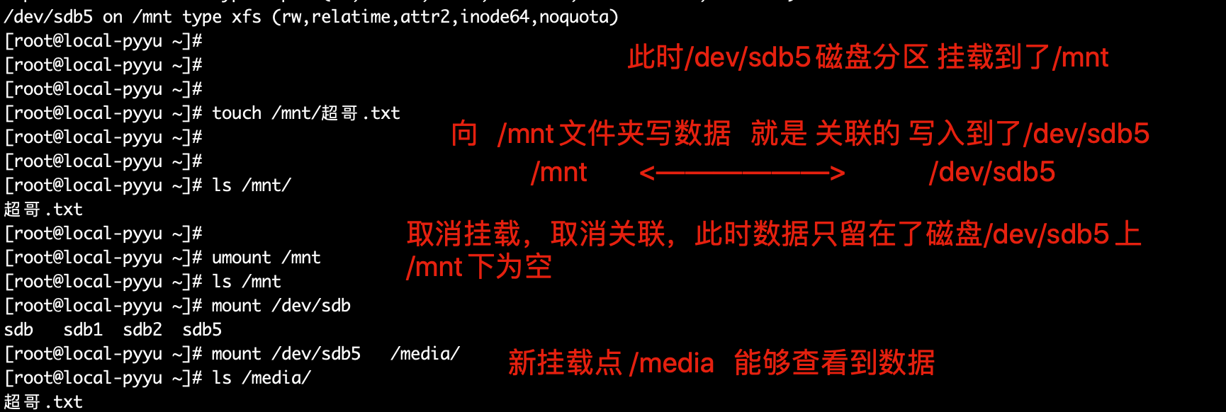 image-20191203160548239