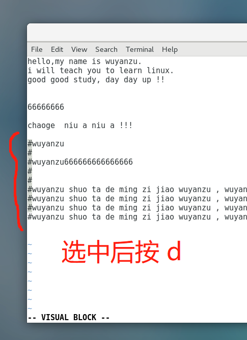 image-20220106195141755