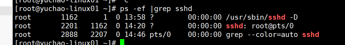 image-20220116144700542