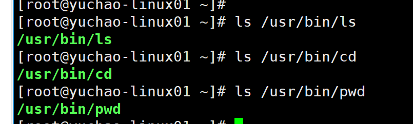 image-20220117115840271