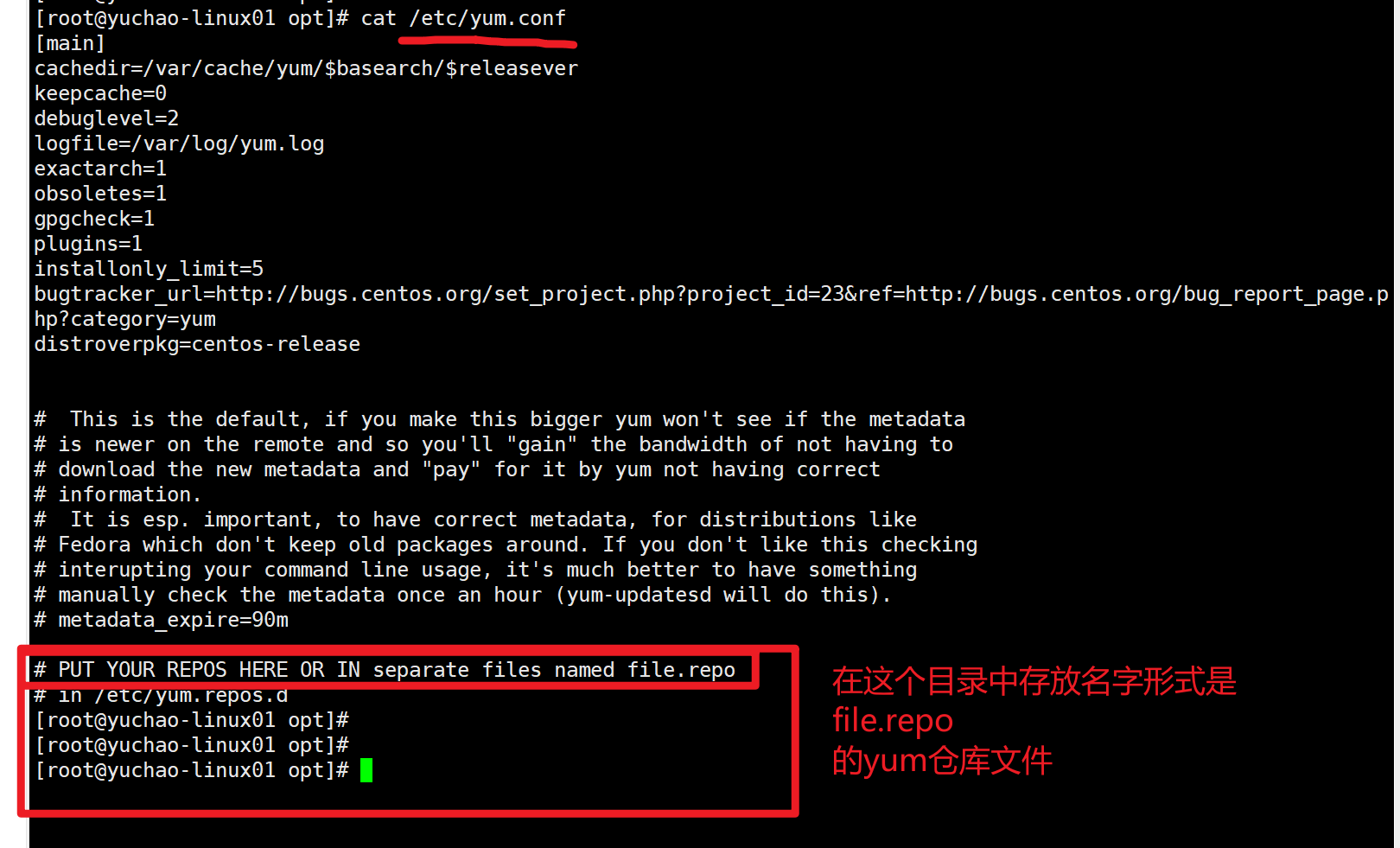 image-20220118134001356