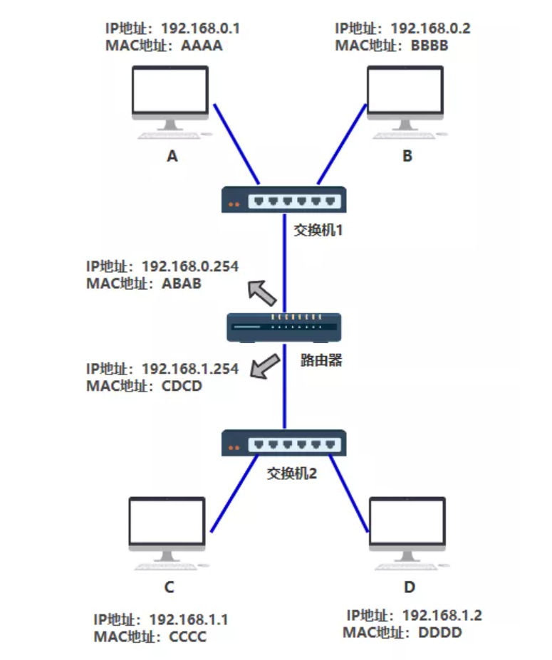 image-20220121162829897