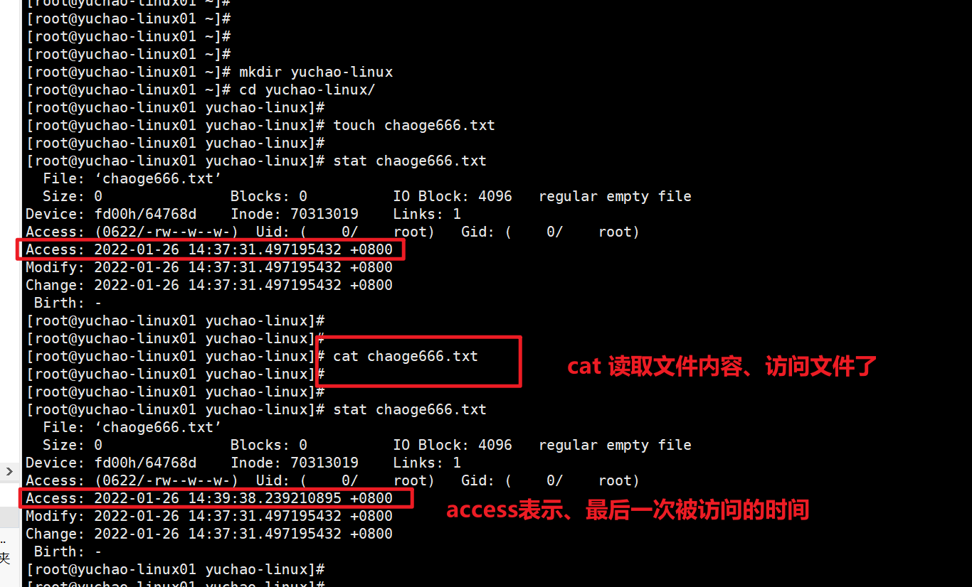 image-20220126144016773