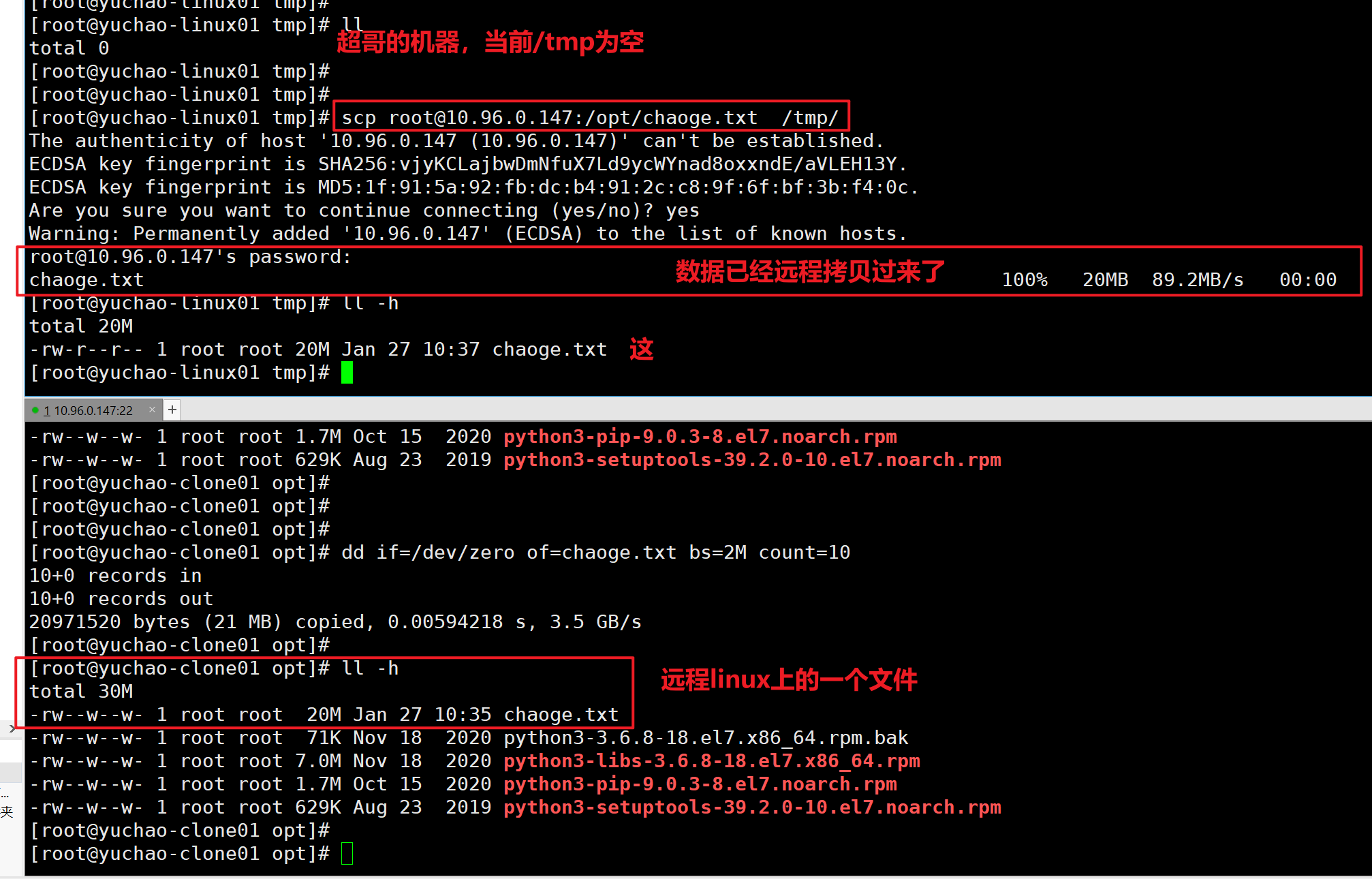 image-20220127103815387