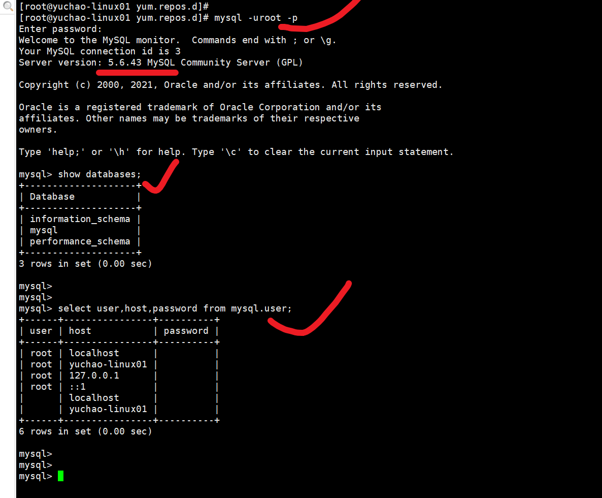 image-20220207163527756