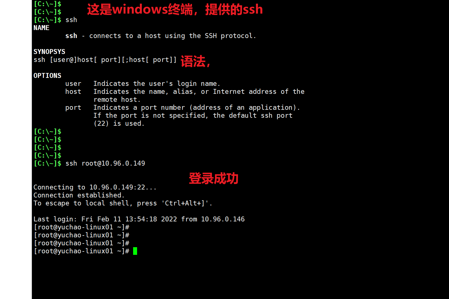 image-20220211135815672