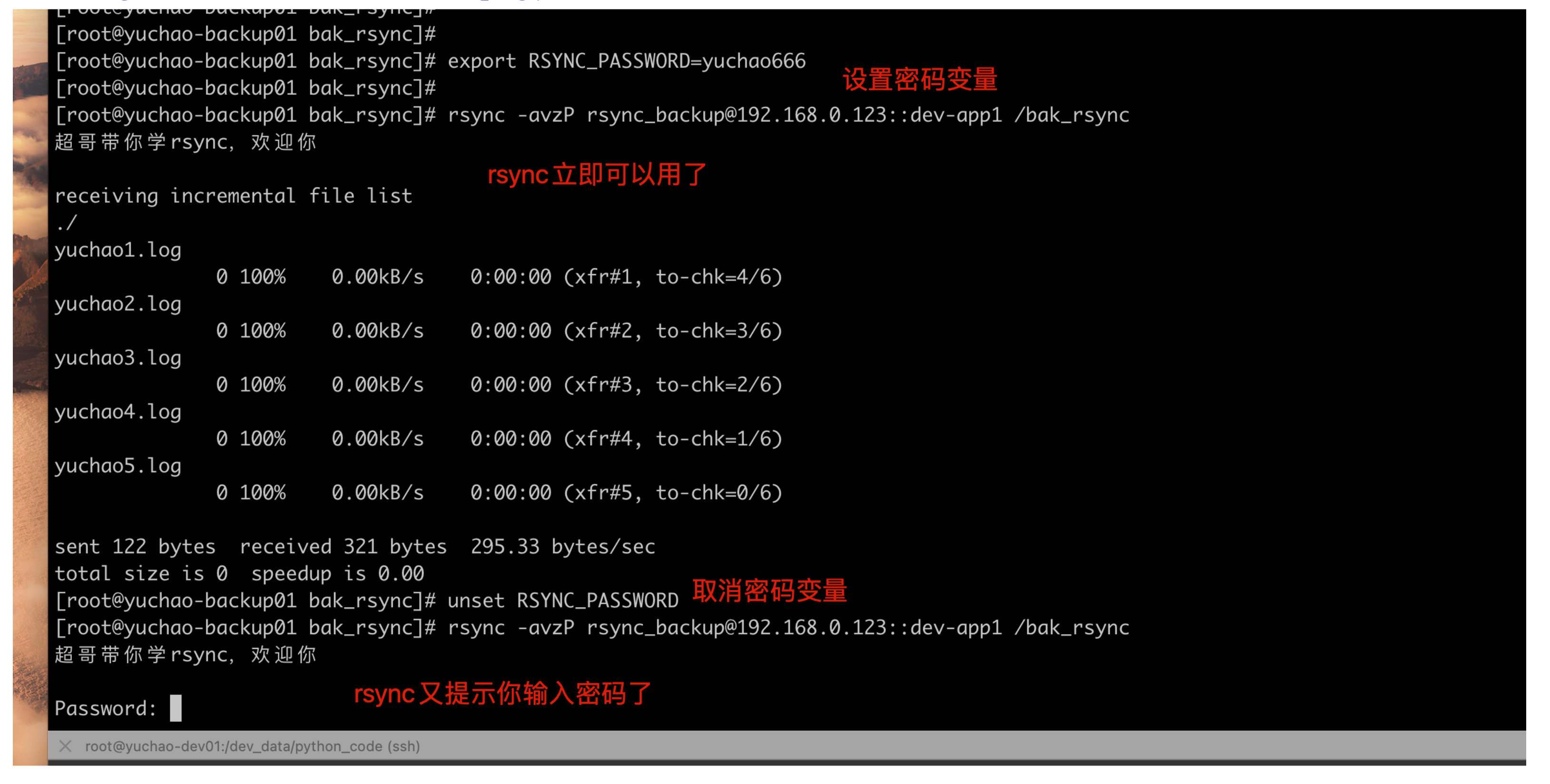 image-20220215181638547