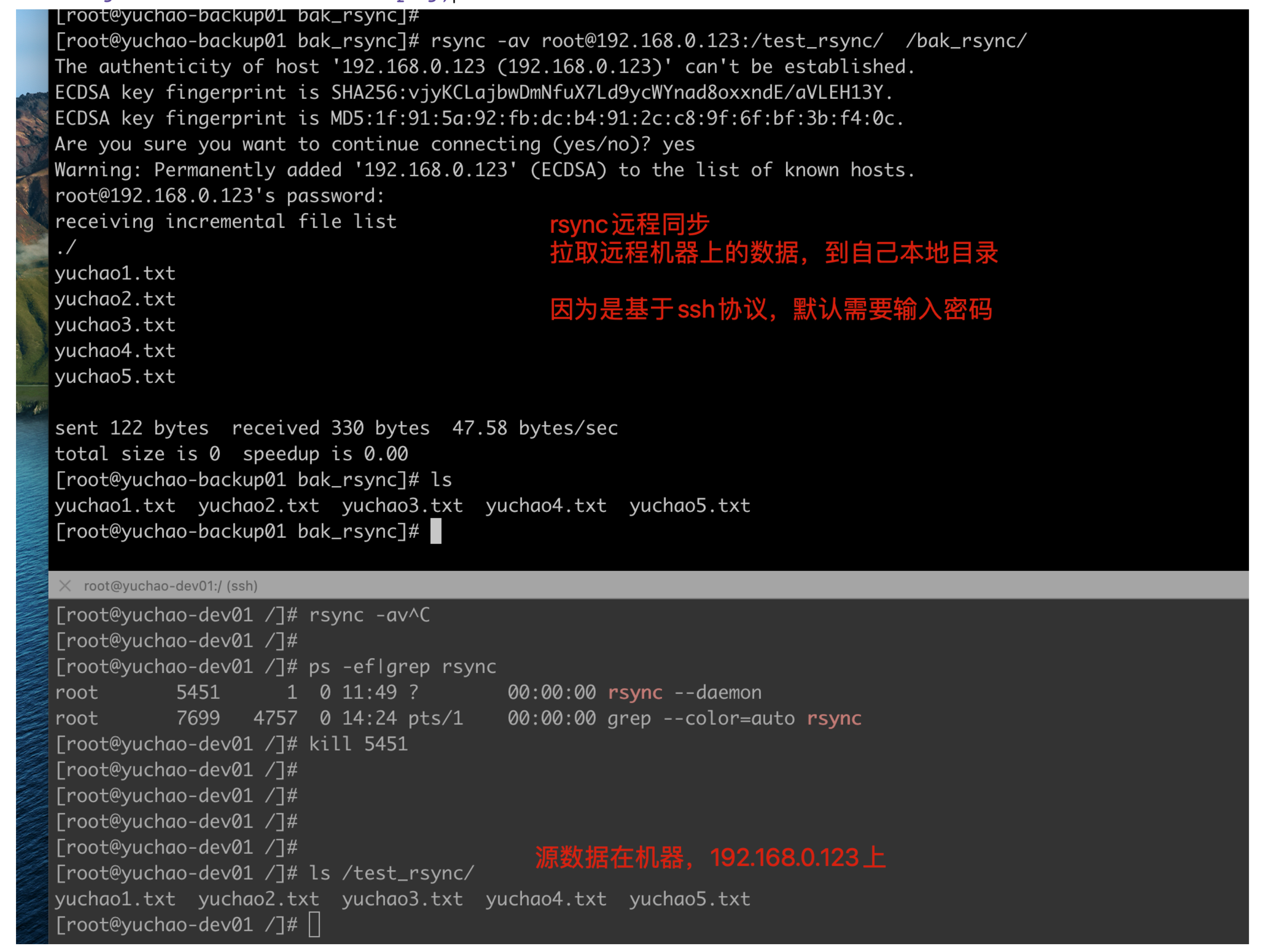 image-20220215181733748