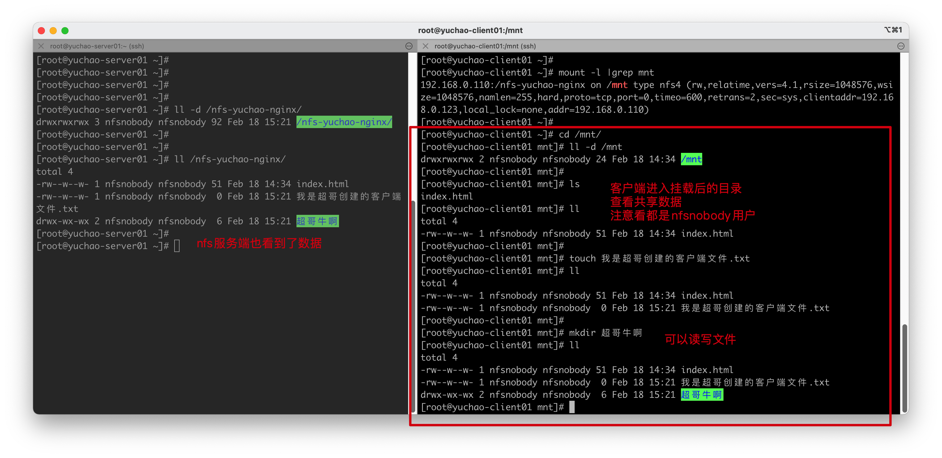image-20220218152259655