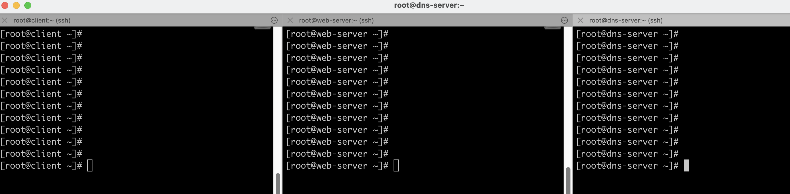 image-20220219145159578