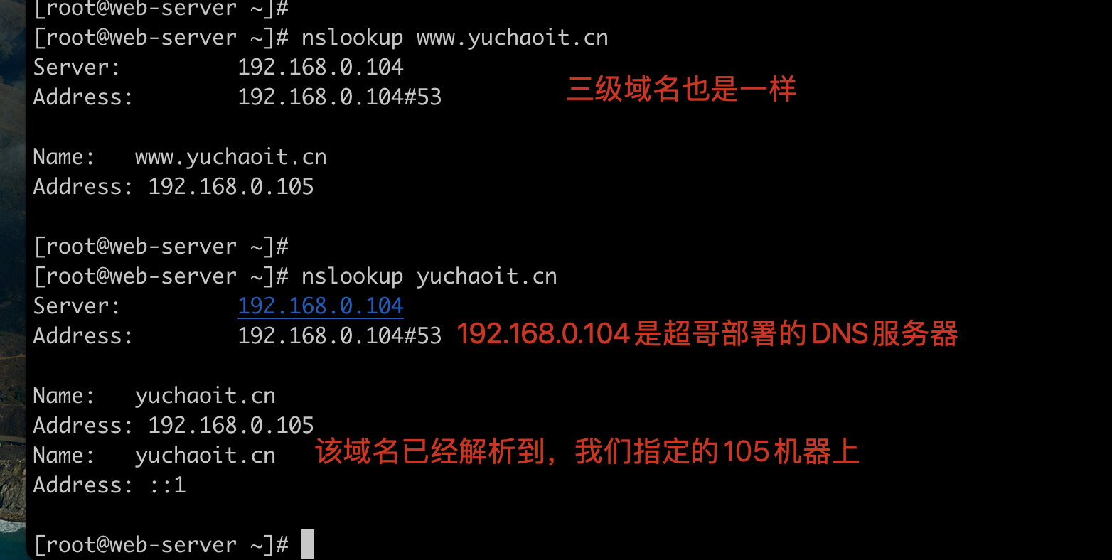 image-20220219182650222