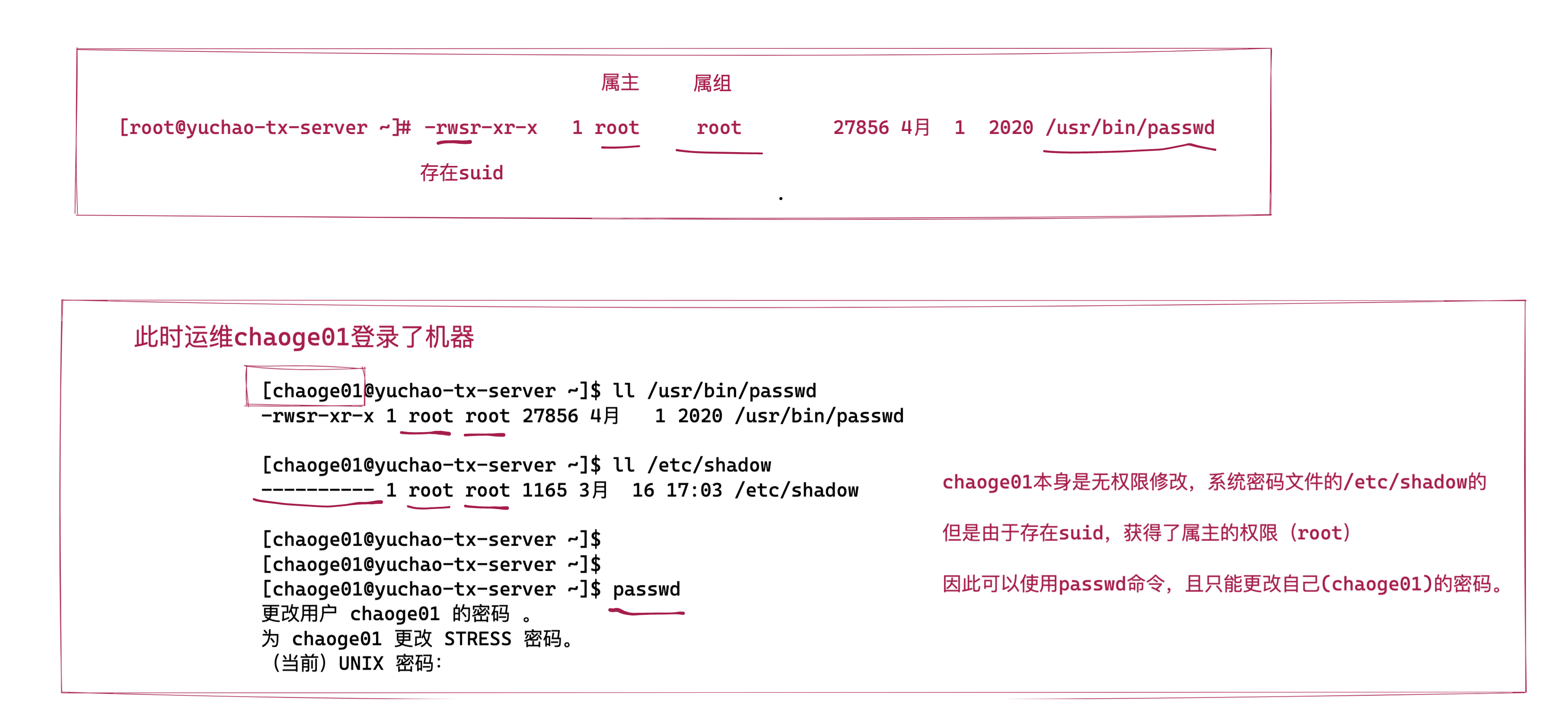 image-20220316180833439