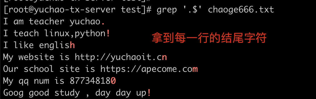 image-20220404150208541