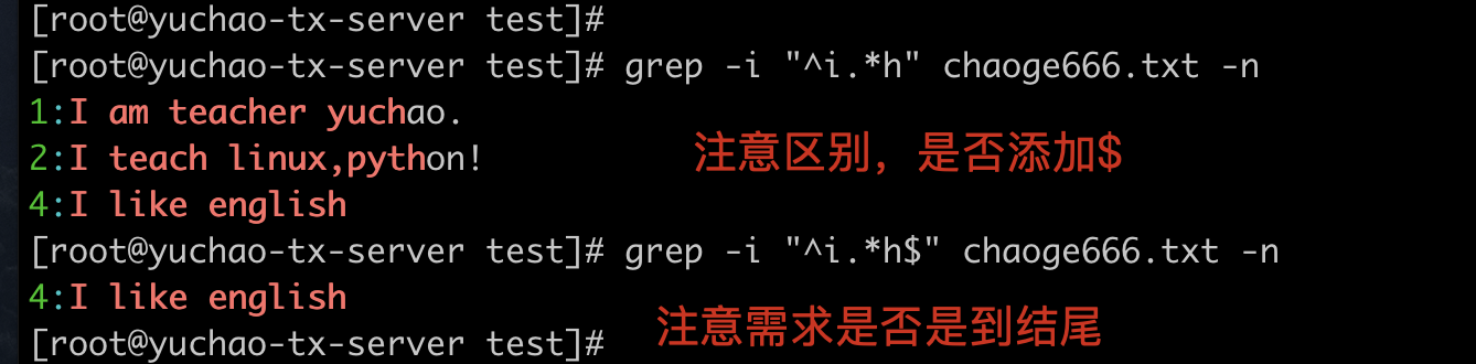 image-20220404191228601