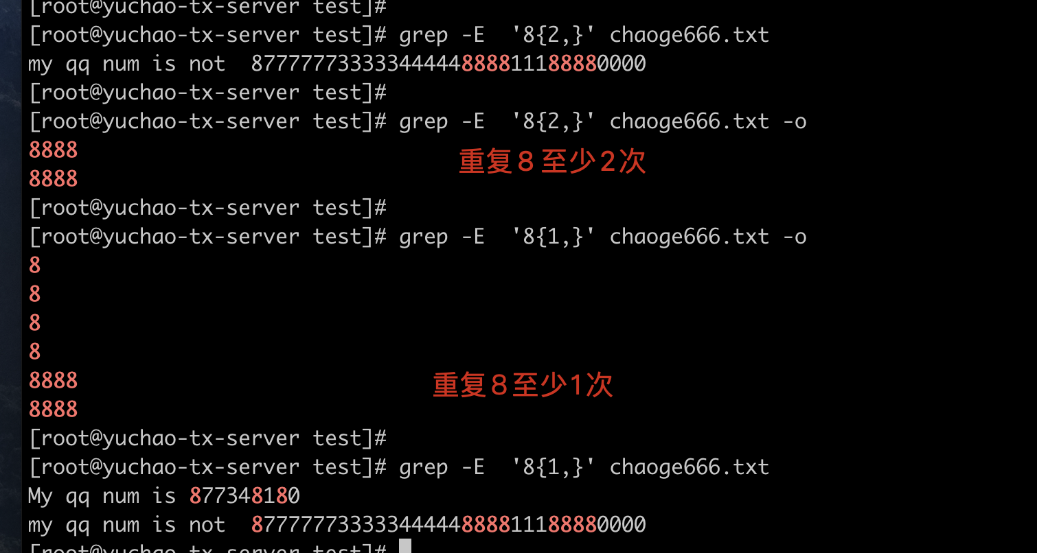 image-20220404202208850