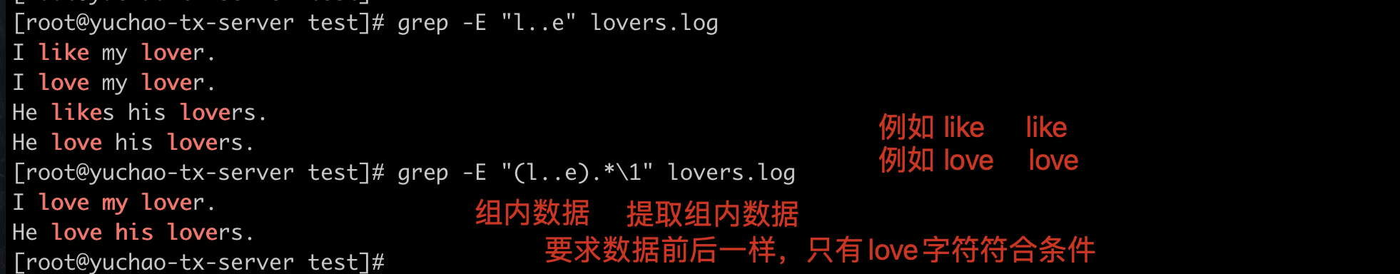 image-20220405175634324