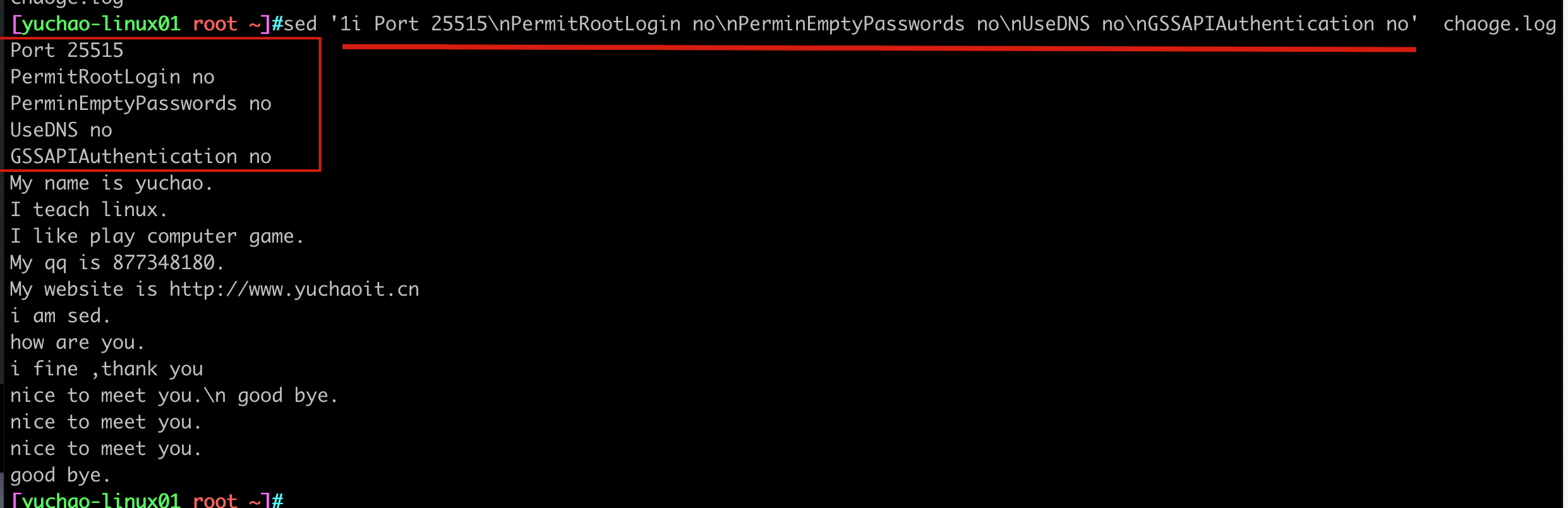 image-20220408165343984