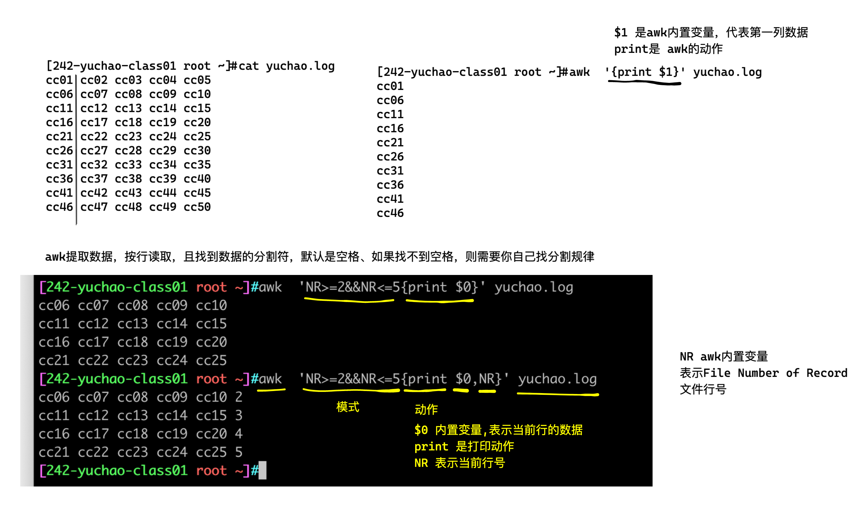 image-20220411173222300