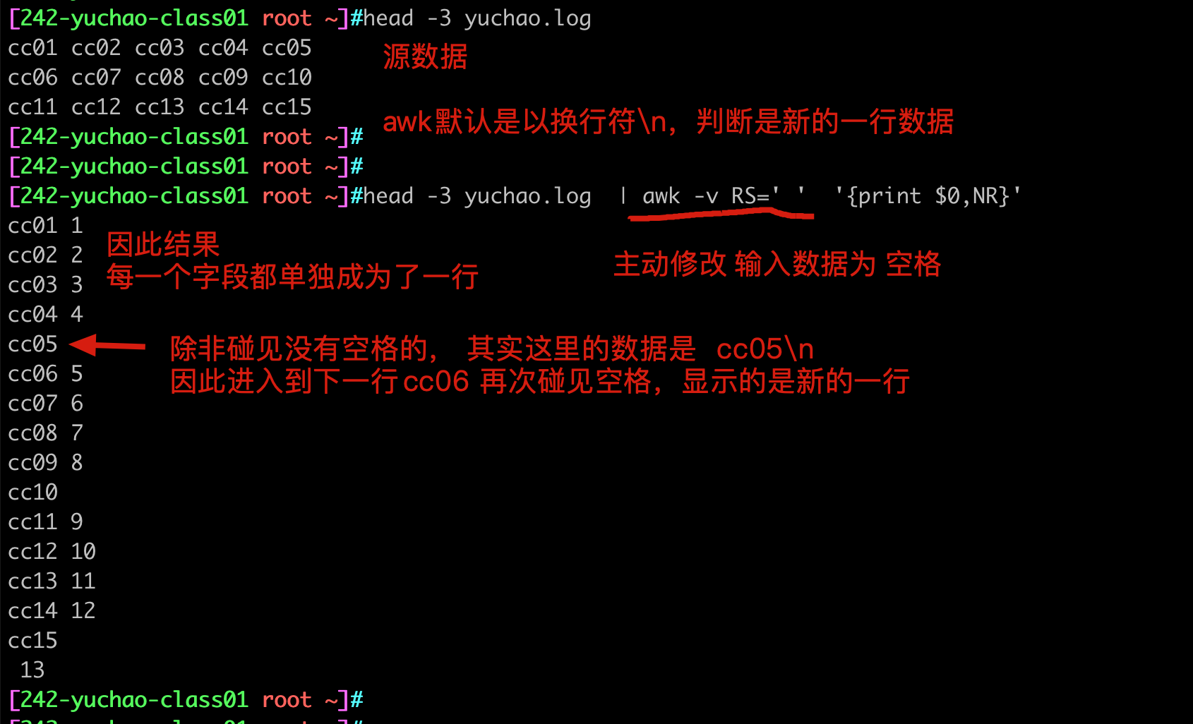 image-20220411190452675