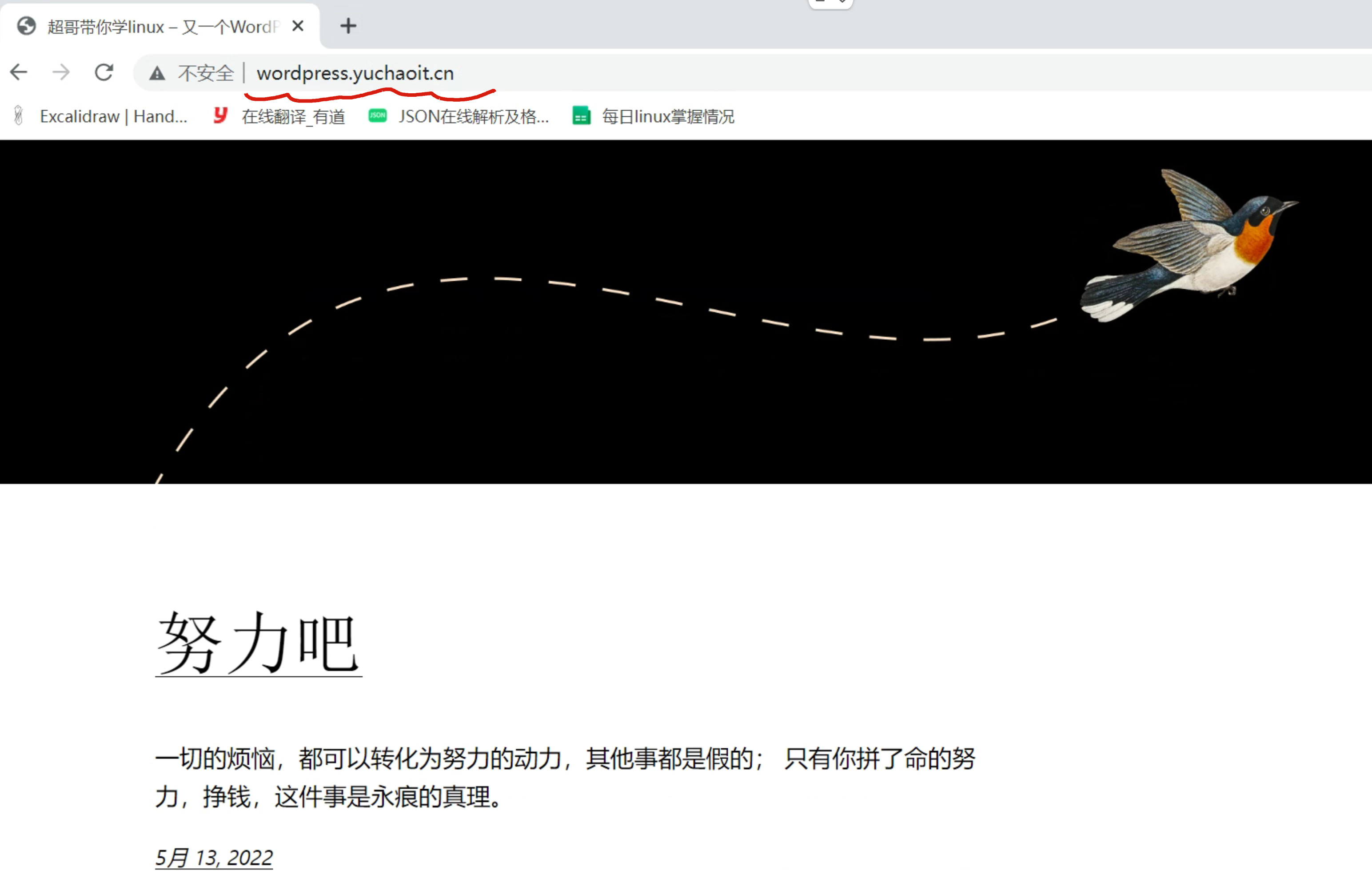 image-20220513212955846