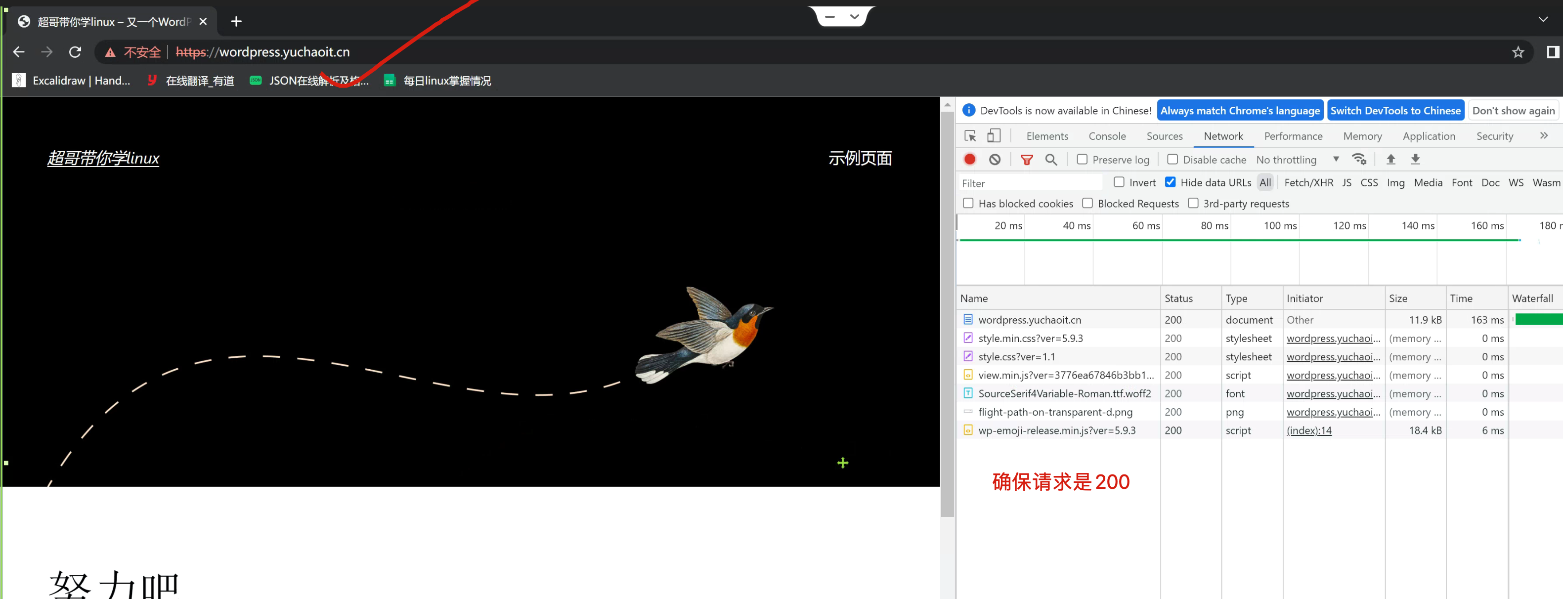 image-20220517170255808