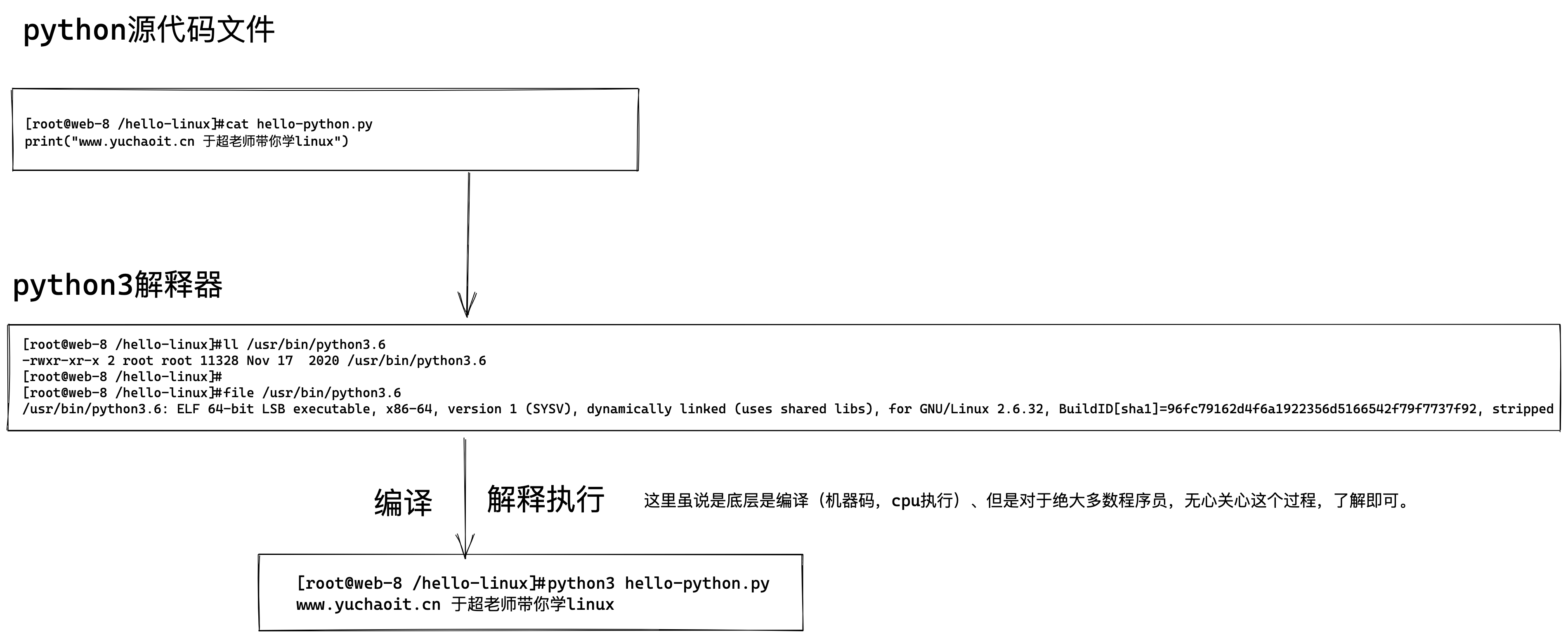 image-20220525172218185