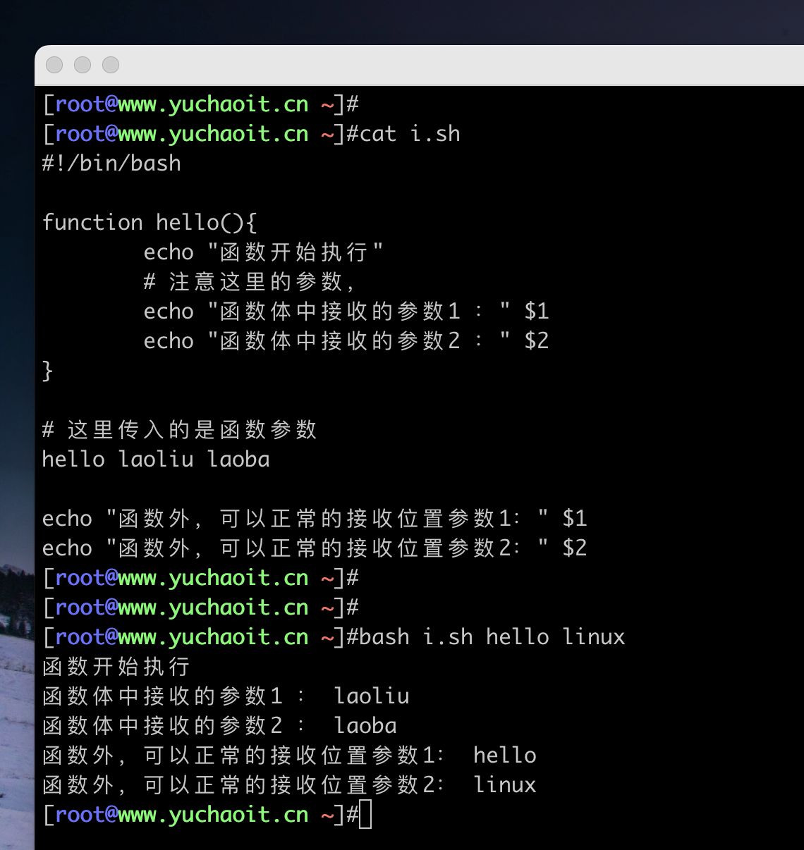 image-20220626204947157