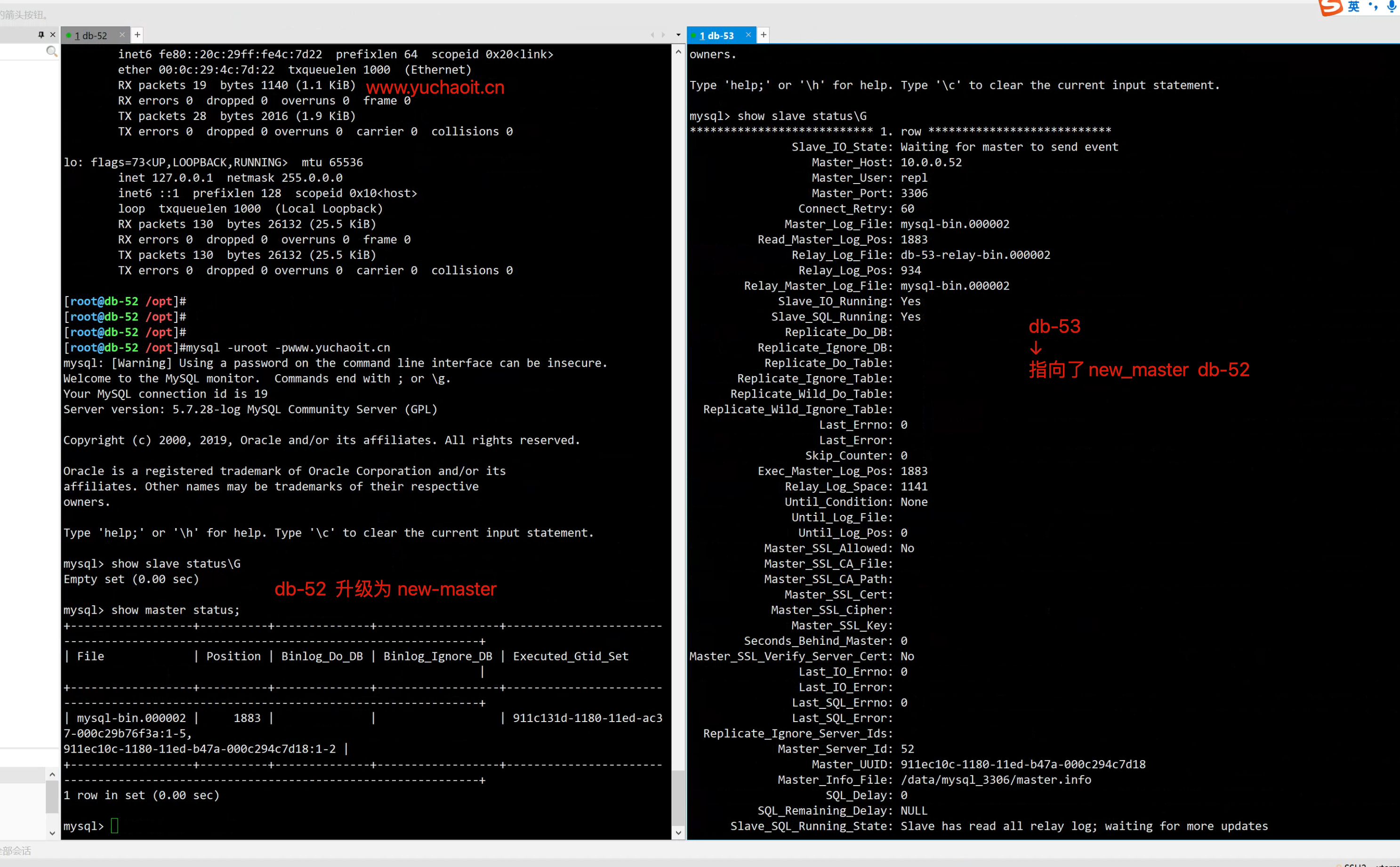 image-20220801184151306