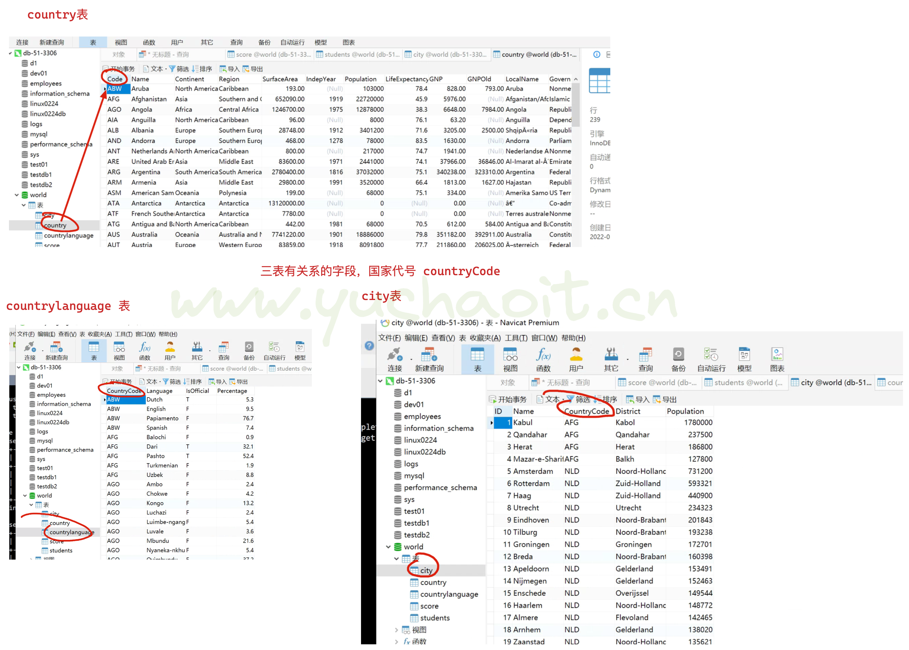 image-20220803172550392