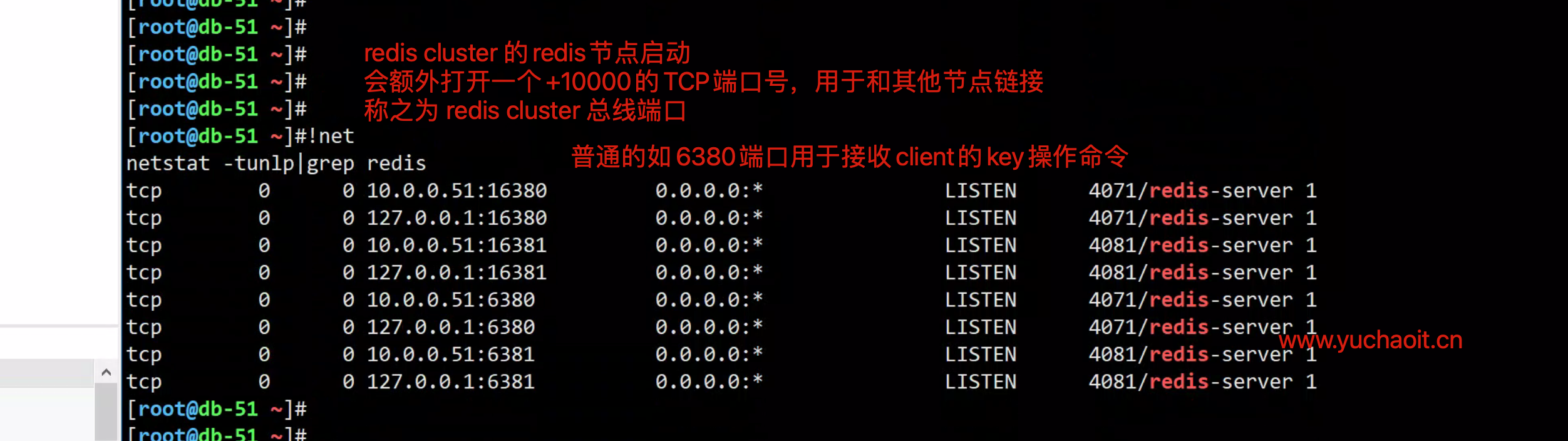 image-20220811182045409