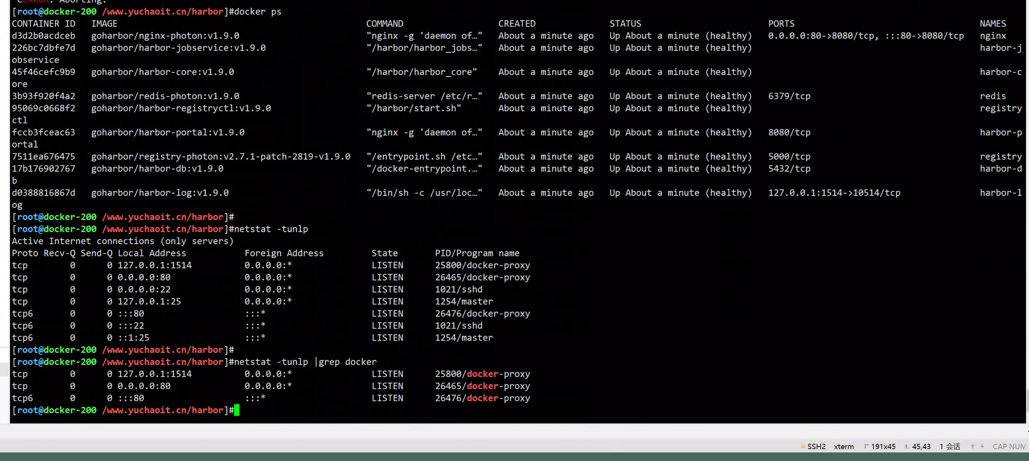 image-20220827121948992