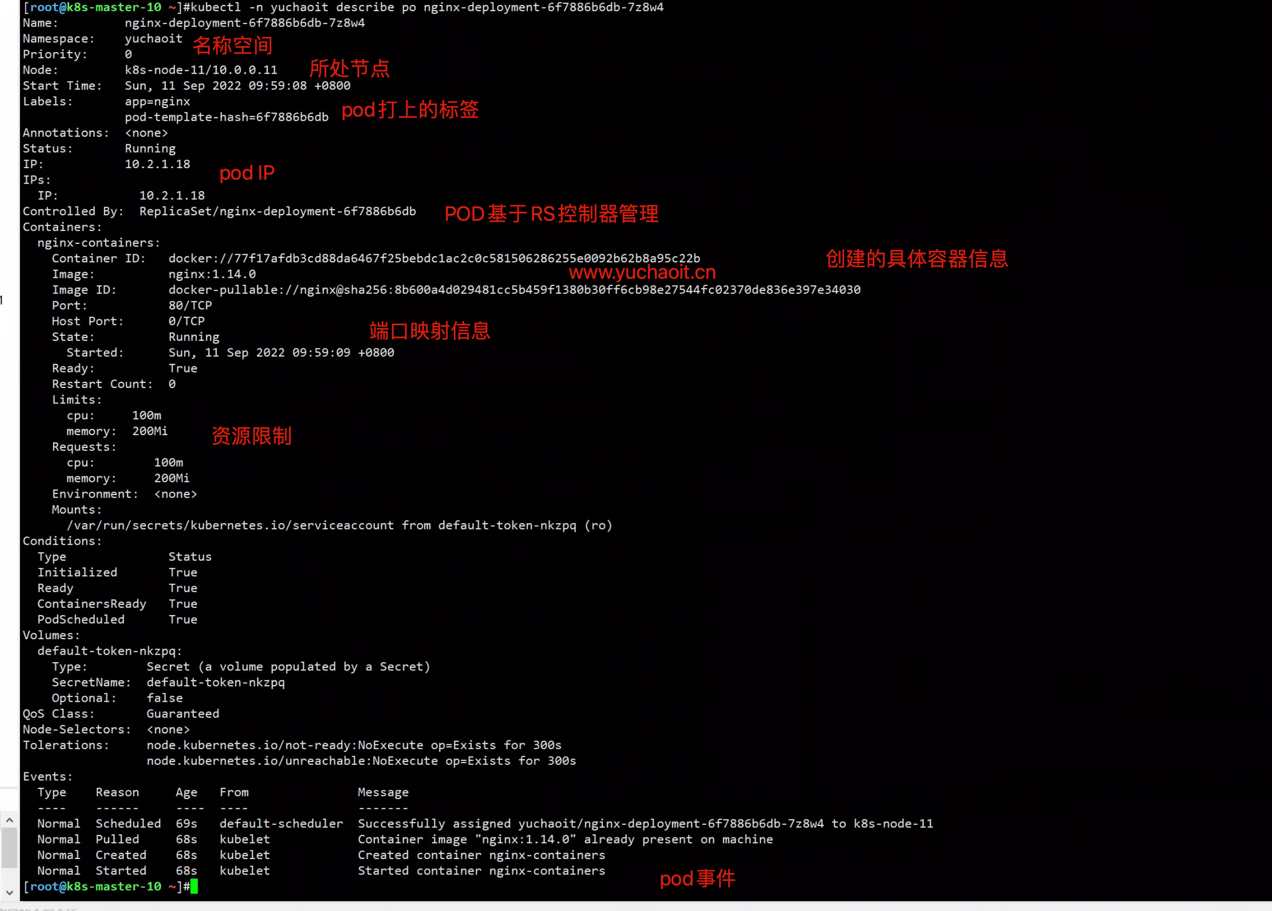 image-20220911100317626