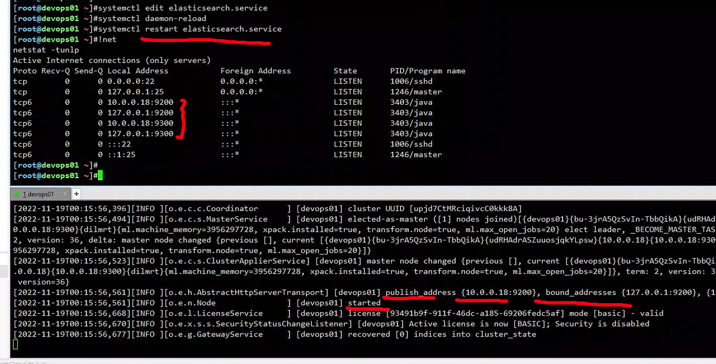 image-20221118161736109