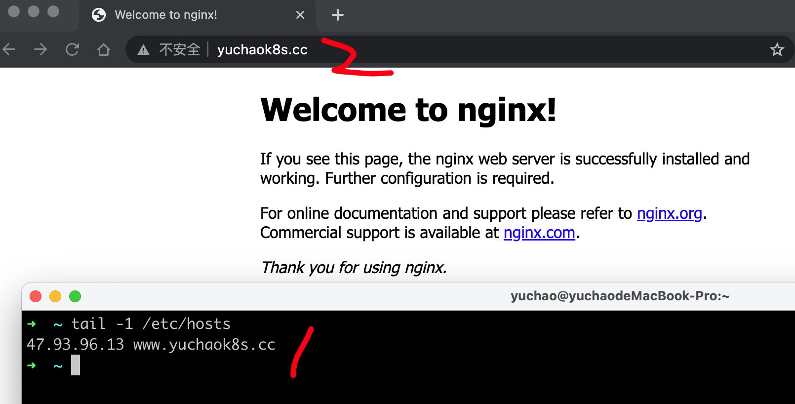 image-20230227133711749